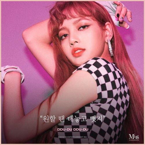 lisa明星理想型
